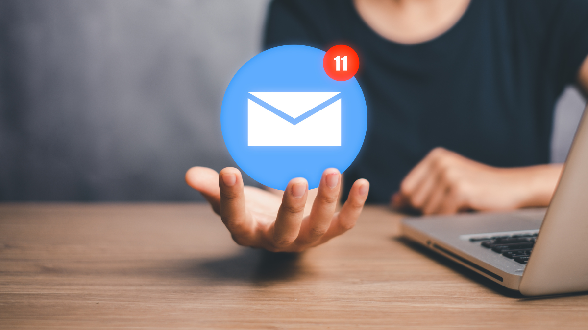 newsletter Muzeum Rakowiecka 37
